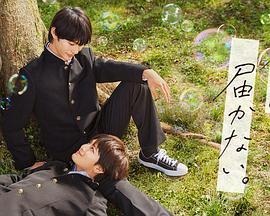 SEO的效果有哪些